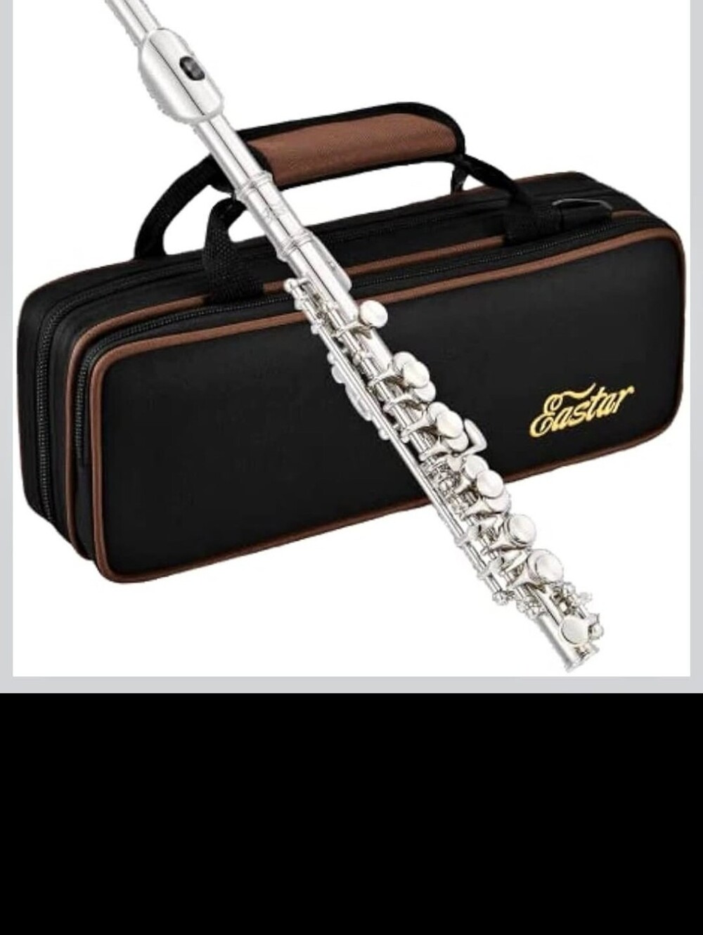Eastar Silver Flute with Black & Brown Case